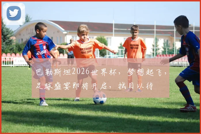 巴勒斯坦2026世界杯，梦想起飞，足球盛宴即将开启，拭目以待