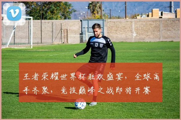 王者荣耀世界杯狂欢盛宴，全球高手齐聚，竞技巅峰之战即将开赛