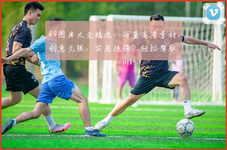 49图库大全精选，海量高清素材，创意无限，实用性强，轻松驾驭
