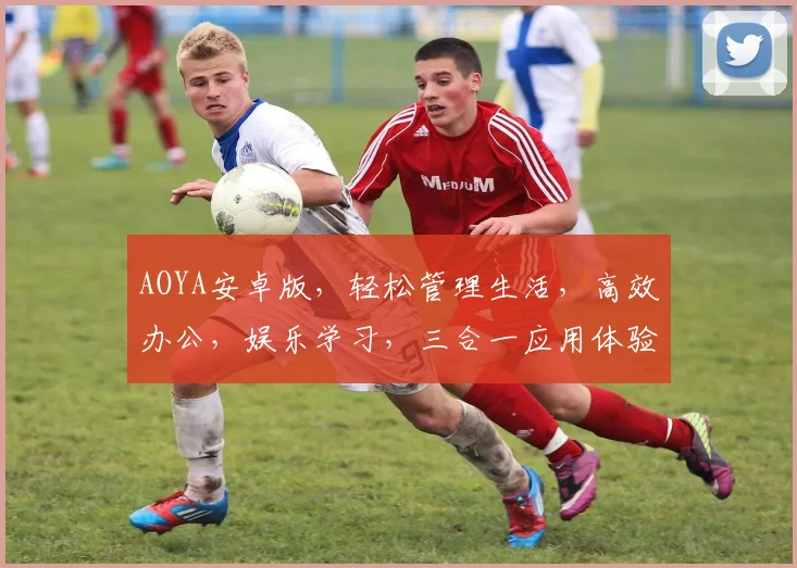 AOYA安卓版，轻松管理生活，高效办公，娱乐学习，三合一应用体验