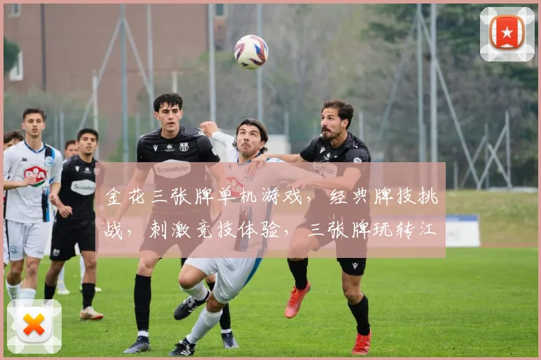 金花三张牌单机游戏，经典牌技挑战，刺激竞技体验，三张牌玩转江湖，等你来挑战