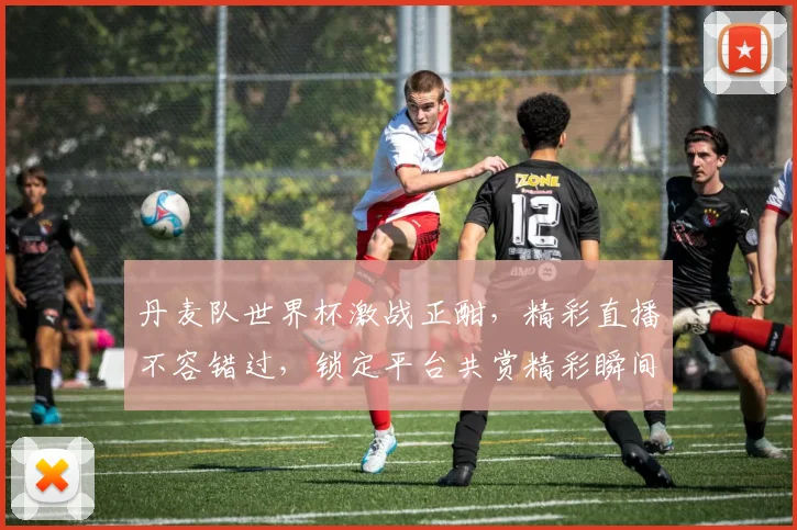 丹麦队世界杯激战正酣，精彩直播不容错过，锁定平台共赏精彩瞬间，一触即发