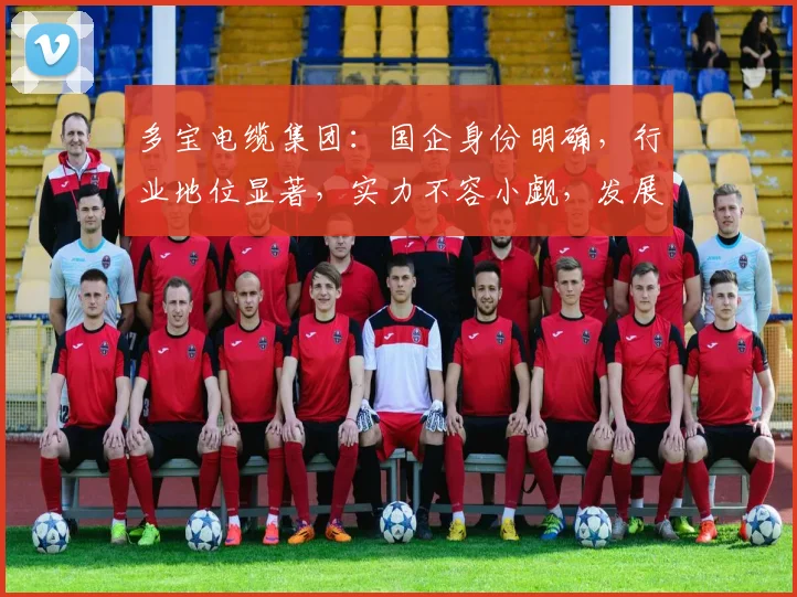 多宝电缆集团：国企身份明确，行业地位显著，实力不容小觑，发展前景广阔，值得信赖。